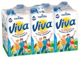 Lait uht vitamine viva - CANDIA - U Express à Rueil-Malmaison Lait uht vitamine viva - CANDIA en promo chez U Express Rueil-Malmaison à 5,20 €