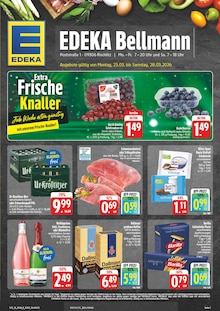 EDEKA Rochlitz Prospekt der aktuellen Woche, gültig von 23.03.2026 bis 28.03.2026 Aktueller EDEKA Rochlitz Prospekt "Wir lieben Lebensmittel!" mit 28 Seiten