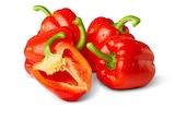 Rote Paprika im Penny Prospekt Rote Paprika im aktuellen Penny Prospekt für 1,19 €