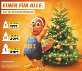 Edle Nordmanntannen im Angebot bei OBI in Selm Edle Nordmanntannen Angebote bei OBI Selm für 17,99 €