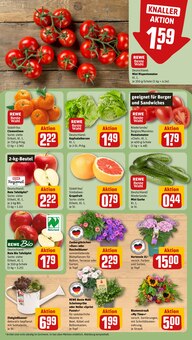 Blumen im aktuellen REWE Prospekt (Hamburg) Blumen im REWE Prospekt "Dein Markt" mit 18 Seiten (Hamburg)