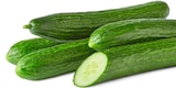 Penny Sexau - Bio-Gurke Angebot im Prospekt Bio-Gurke bei Penny im Sexau Prospekt für 0,89 €
