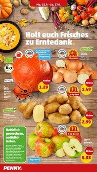 Kartoffeln im Penny Prospekt "Wer günstig will, muss Penny." mit 38 Seiten (Erfurt)