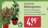 Balkongemüse von Gardenline im aktuellen ALDI Nord Prospekt