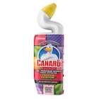 Gel WC - CANARD en promo chez Carrefour Market Caen à 3,46 €