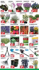 Akku im Wreesmann Prospekt in Freiberg Aktueller Wreesmann Prospekt mit Akku, "DEIN SAISON- & SONDERPOSTENMARKT!", Seite 3