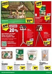Aktueller Hagebaumarkt Prospekt mit Gartendeko, "ERLEBE IMMERGRÜNE GARTENMOMENTE", Seite 6