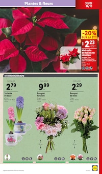 Promo Pot En Céramique dans le catalogue Lidl du moment à la page 25