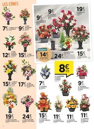 Offre Jardinière De Fleurs dans le catalogue Centrakor du moment à la page 2