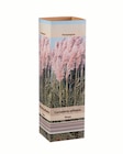 Pampasgras (Cortaderia) Weiß für 2,49 € bei Lidl im Angebot Pampasgras (Cortaderia) Weiß im aktuellen Lidl Prospekt