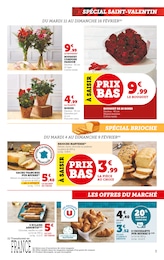 Offre Jardinage dans le catalogue U Express du moment à la page 3