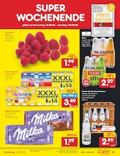 Milka im Netto Marken-Discount Prospekt in Tübingen Aktueller Netto Marken-Discount Prospekt mit Milka, "Aktuelle Angebote", Seite 33