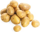 REWE Raesfeld - Bio Speisekartoffeln Angebot im Prospekt Bio Speisekartoffeln bei REWE im Raesfeld Prospekt für 1,99 €