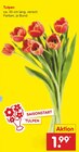 Tulpen im Angebot bei Netto Marken-Discount in Bonn Tulpen Angebote bei Netto Marken-Discount Bonn für 1,99 €