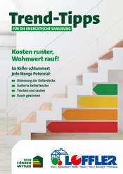 Aktueller Bauzentrum Löffler Baumarkt Prospekt in Greiz und Umgebung, "Trend-Tipps FÜR DIE ENERGETISCHE SANIERUNG" mit 7 Seiten, 14.02.2025 - 23.02.2025