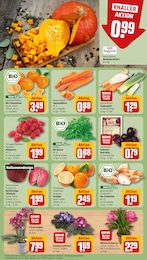 Blumen Angebot im aktuellen REWE Prospekt auf Seite 9