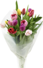 BOUQUET 14 TULIPES - SANS MARQUE dans le catalogue Auchan Supermarché