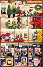 Adventskranz Angebot & Preis im aktuellen Norma Prospekt Adventskranz Angebot im aktuellen Norma Prospekt auf Seite 14
