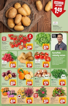 Pflanzen im aktuellen REWE Prospekt (Braunschweig) Pflanzen im REWE Prospekt "Dein Markt" mit 38 Seiten (Braunschweig)