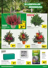 Steckschaum Angebot & Preis im aktuellen Hagebaumarkt Prospekt Steckschaum Angebot im aktuellen Hagebaumarkt Prospekt auf Seite 18