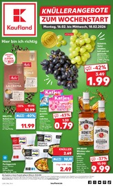 Aktueller Kaufland Prospekt mit Kaffeevollautomat, "KNÜLLER", Seite 1
