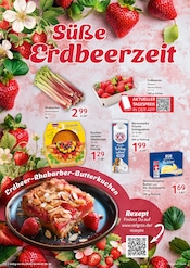 Erdbeeren im Selgros Prospekt in Pinneberg Aktueller Selgros Prospekt mit Erdbeeren, "HIER KAUFEN PROFIS & GENIESSER", Seite 12