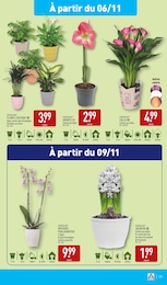 Offre Orchidée dans le catalogue Aldi du moment à la page 21