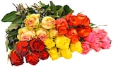 Premium Rosen Angebote bei REWE Wolfsburg für 3,99 €