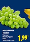 Helle, kernlose Trauben im Lidl Prospekt Helle, kernlose Trauben im aktuellen Lidl Prospekt für 1,99 €