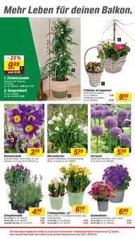 Lavendel im aktuellen toom Baumarkt Prospekt (Bonn) Lavendel im toom Baumarkt Prospekt "Respekt, wer's selber macht." mit 22 Seiten (Bonn)