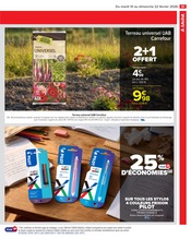 Terreau Angebote im Prospekt "NOUVEL AN LUNAIRE" von Carrefour Market auf Seite 53