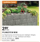 PFLANZSTEIN MINI Angebote bei OBI Norderstedt für 2,89 €