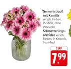 Angebot im E center Schutterwald Prospekt E center Schutterwald Prospekt mit im Angebot für 7,99 €