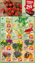 Blumen Angebot im aktuellen REWE Prospekt auf Seite 9