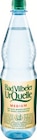 Aktuelles Mineralwasser Medium Angebot bei Netto Marken-Discount in Mannheim ab 5,99 €
