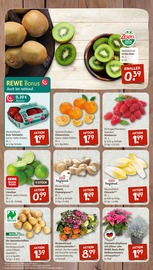 Pflanzen im nahkauf Prospekt in Memmingen Aktueller nahkauf Prospekt mit Pflanzen, "nichts liegt näher", Seite 4