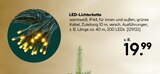 BayWa Bau- und Gartenmärkte - LED-Lichterkette Angebot im Prospekt LED-Lichterkette bei BayWa Bau- und Gartenmärkte im Prospekt "" für 19,99 €