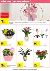 Orchidée Angebote im Prospekt "LE MOIS VIP VERY IMPORTANT PROMOS*" von Carrefour Orchidée Angebote im Prospekt "LE MOIS VIP VERY IMPORTANT PROMOS*" von Carrefour auf Seite 99