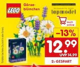 Gänseblümchen im aktuellen Prospekt bei Netto Marken-Discount in Allersberg