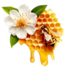 Sommerblüte goldklar im Kaufland Prospekt Sommerblüte goldklar von Langnese im aktuellen Kaufland Prospekt für 3,49 €