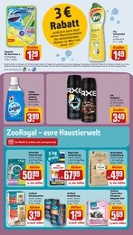 REWE Katzenfutter im Prospekt 