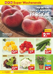 Kohl Angebot im aktuellen Netto Marken-Discount Prospekt auf Seite 48