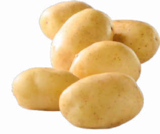 Aktuelles Bio Speisekartoffeln Angebot bei Netto Marken-Discount in Dresden ab 1,49 €