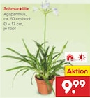 Netto Marken-Discount Waldbüttelbrunn Prospekt mit  im Angebot für 9,99 €