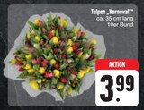 Tulpen "Karneval" Angebote bei E center Schweinfurt für 3,99 €