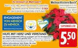 Weihnachtsstern Busch von  im aktuellen EDEKA Prospekt für 5,50 €