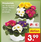 Primelschale Angebote bei Netto Marken-Discount Lörrach für 3,99 €