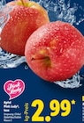 Aktuelle Äpfel Angebote bei Lidl in Bremerhaven Aktuelles Apfel, lose Angebot bei Lidl in Bremerhaven ab 2,99 €