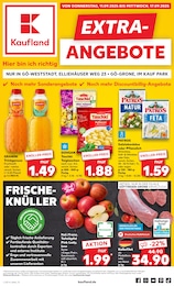 Kaufland Prospekt für Göttingen mit 8 Seiten Kaufland Prospekt für Göttingen: "EXTRA-ANGEBOTE", 8 Seiten, 11.09.2025 - 17.09.2025