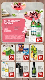 nahkauf London Dry Gin im Prospekt 